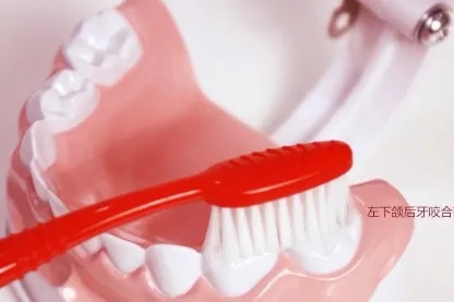 儿童刷牙方法——圆弧刷牙法