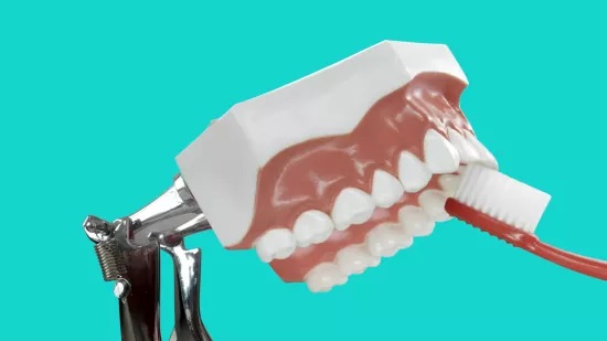 刷牙方法升级版——水平颤动拂刷法