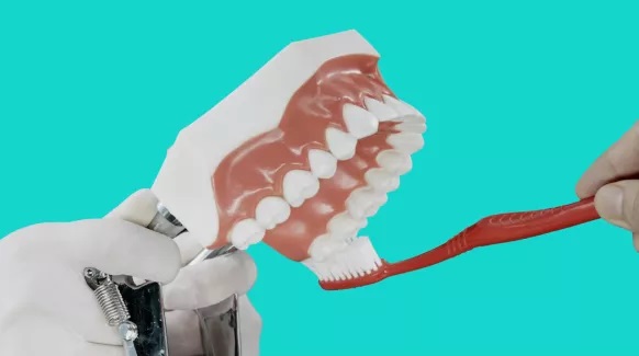 刷牙方法升级版——水平颤动拂刷法