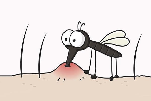 蚊子叮咬的正确做法，以及防蚊妙招